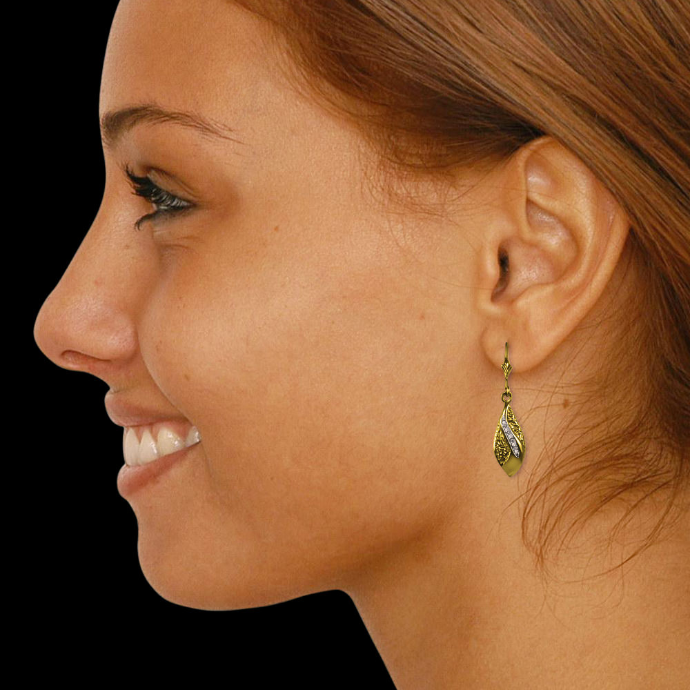 https://goldiam.co.il/sites/default/files/1227%281%29_ear.jpg