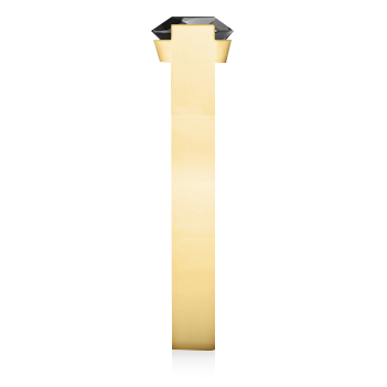 https://goldiam.co.il/sites/default/files/1935648-11S_yellowgold_blackdiamond.jpg
