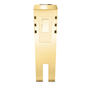 https://goldiam.co.il/sites/default/files/1935648-130S_yellowgold_blackdiamond.jpg