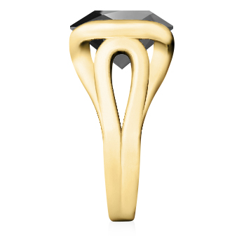 https://goldiam.co.il/sites/default/files/1935648-17S_yellowgold_blackdiamond.jpg