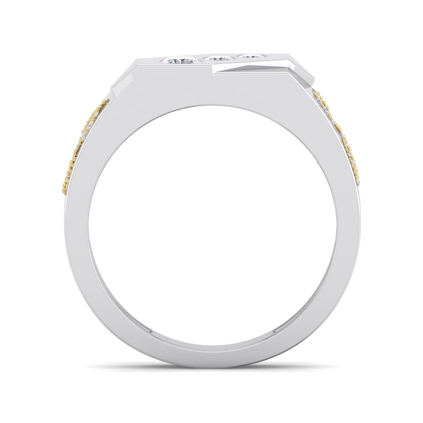 https://goldiam.co.il/en/sites/default/files/4_603.jpg
