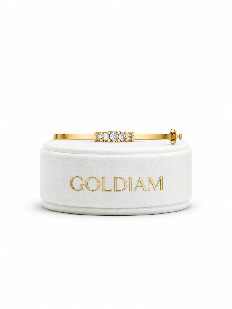 https://goldiam.co.il/sites/default/files/Orit_zikri_________GOLDIAM____dd9c8c52-fb8f-4206-8e21-51db89559e2d.png