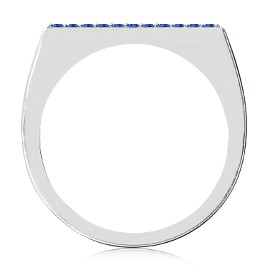 https://goldiam.co.il/sites/default/files/T11307F_whitegold_sapphire.jpg