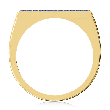 https://goldiam.co.il/sites/default/files/T11307F_yellowgold_sapphire.jpg