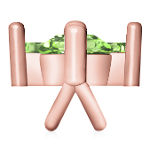 https://goldiam.co.il/sites/default/files/T3030F_redgold_lgr.jpg