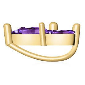 https://goldiam.co.il/sites/default/files/T3030S_yellowgold_purple.jpg