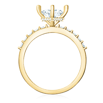 https://goldiam.co.il/sites/default/files/T4337F_yellowgold.jpg