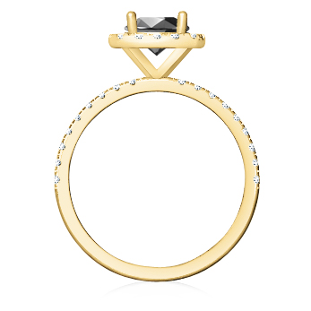 https://goldiam.co.il/sites/default/files/T4354F_yellowgold_blackdiamond.jpg