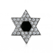 מגן דוד גדול עם יהלומים ואוניקס במרכז